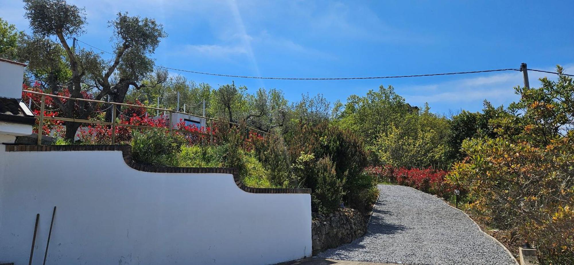 Villa Kiru Vibo Valentia Εξωτερικό φωτογραφία
